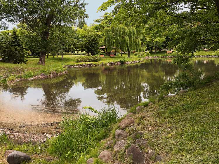 札幌市中島公園内の菖蒲池の写真。