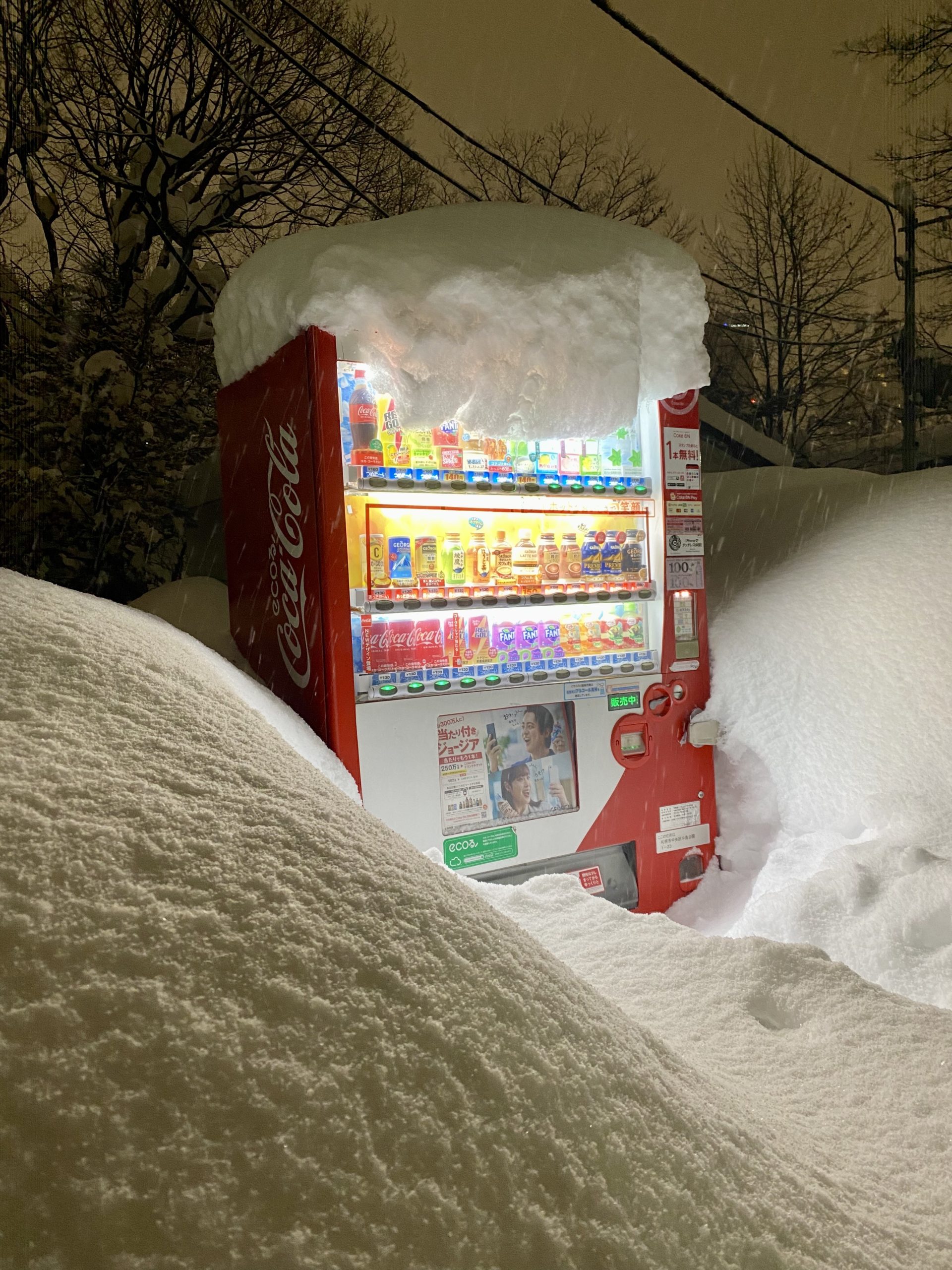 マイク英会話教室札幌の近くにある中島公園の自販機